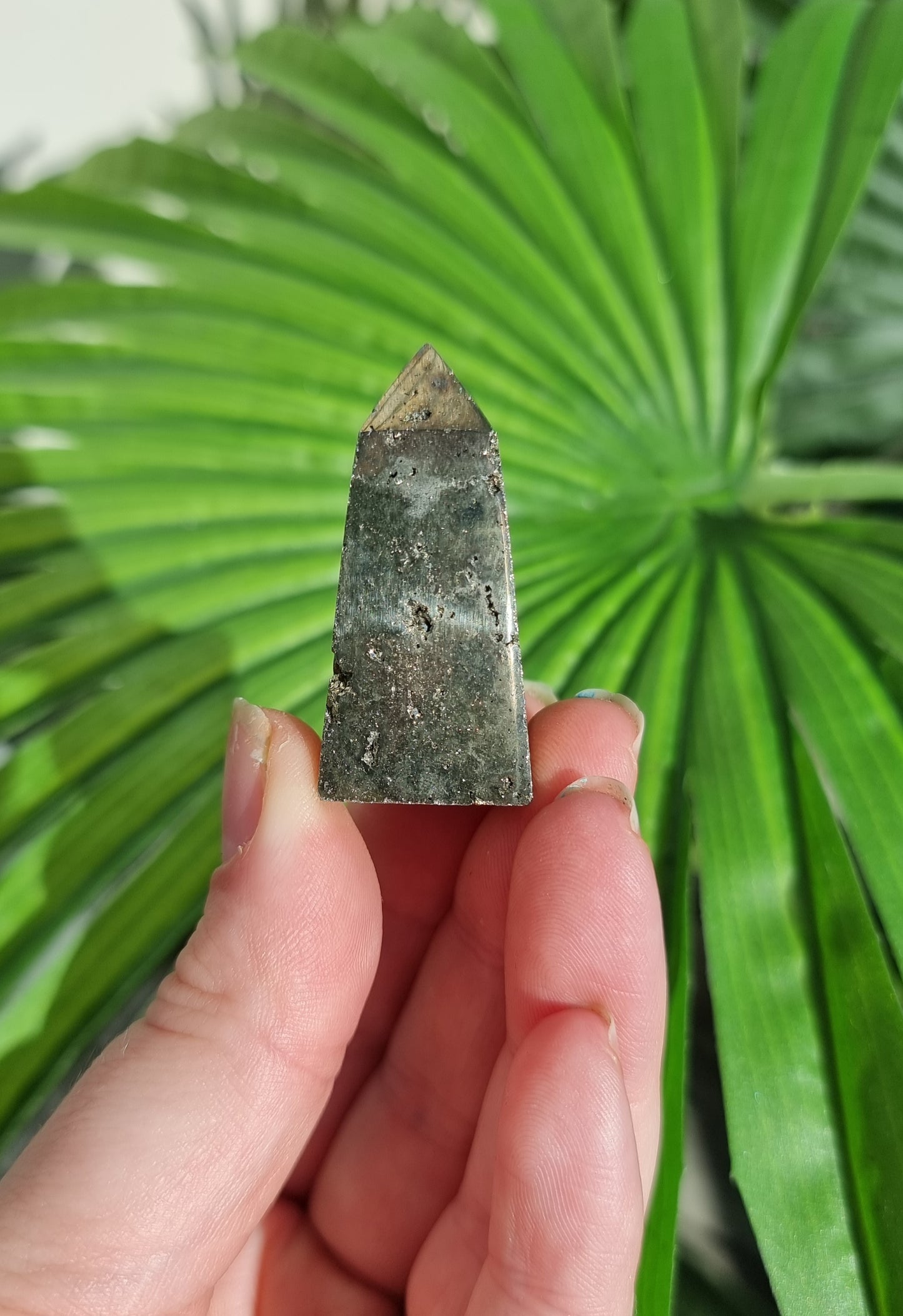 Pyrite Point #1