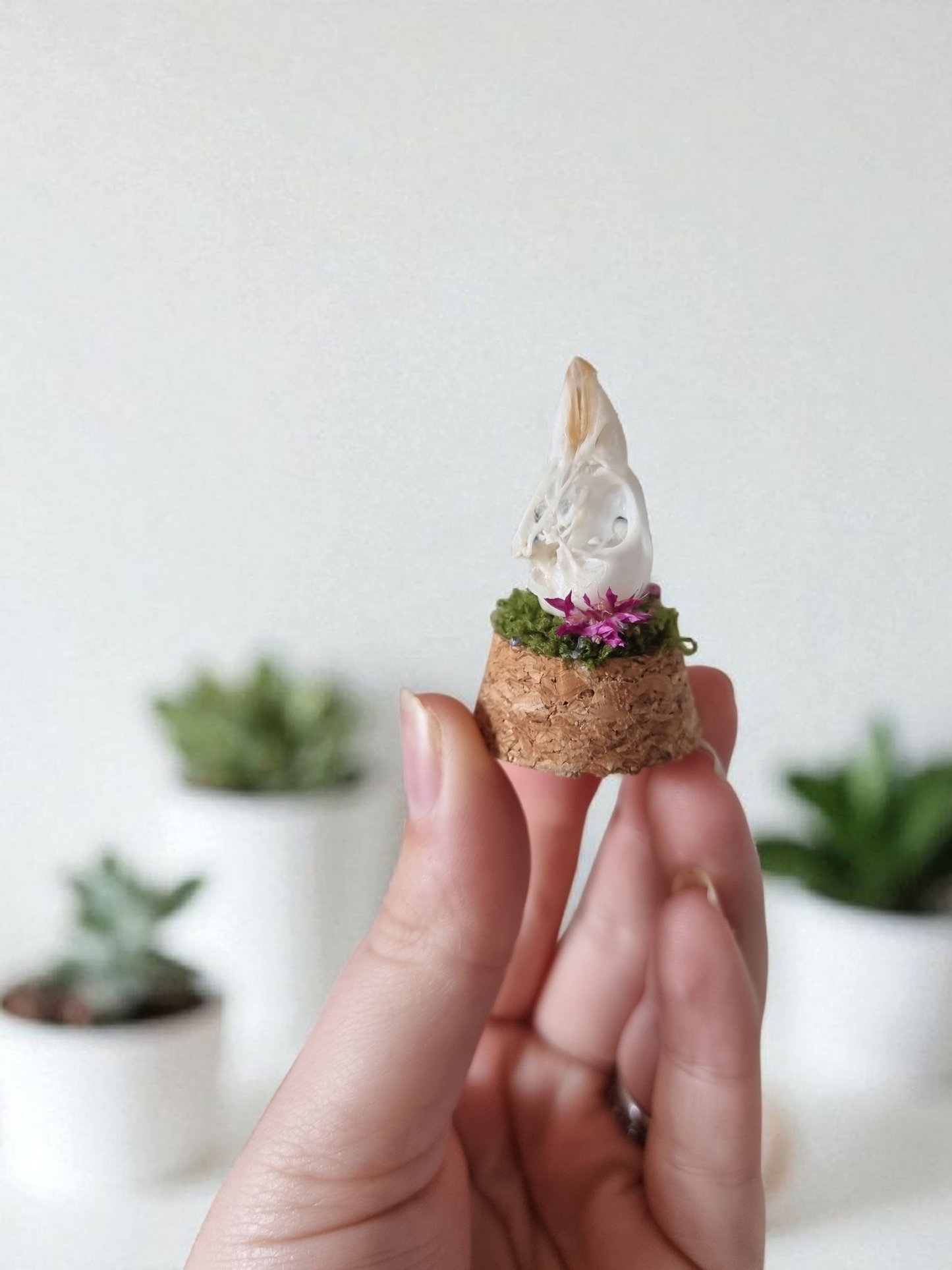 Bird Skull dome #3