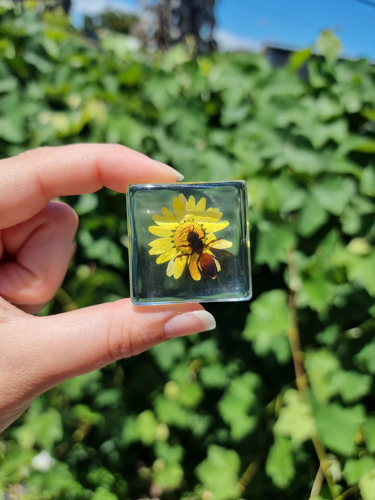 Bee And Flower In Resin