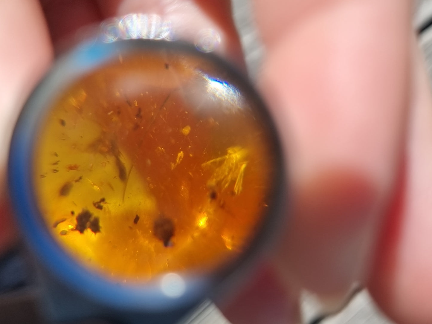 Bug in Amber #5