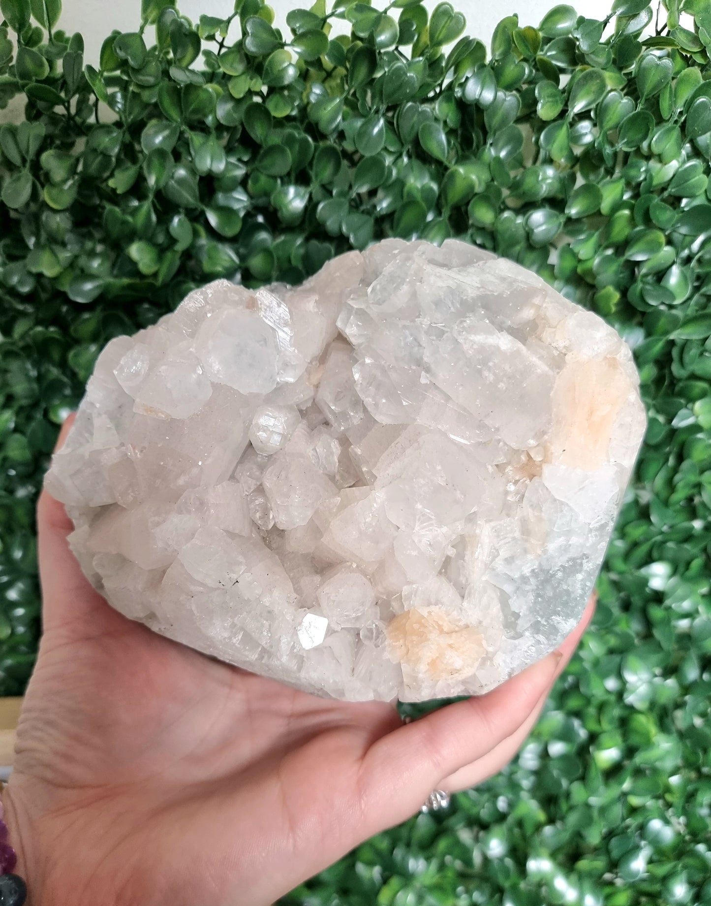 Cut Base Apopthyllite with stilbite Cluster