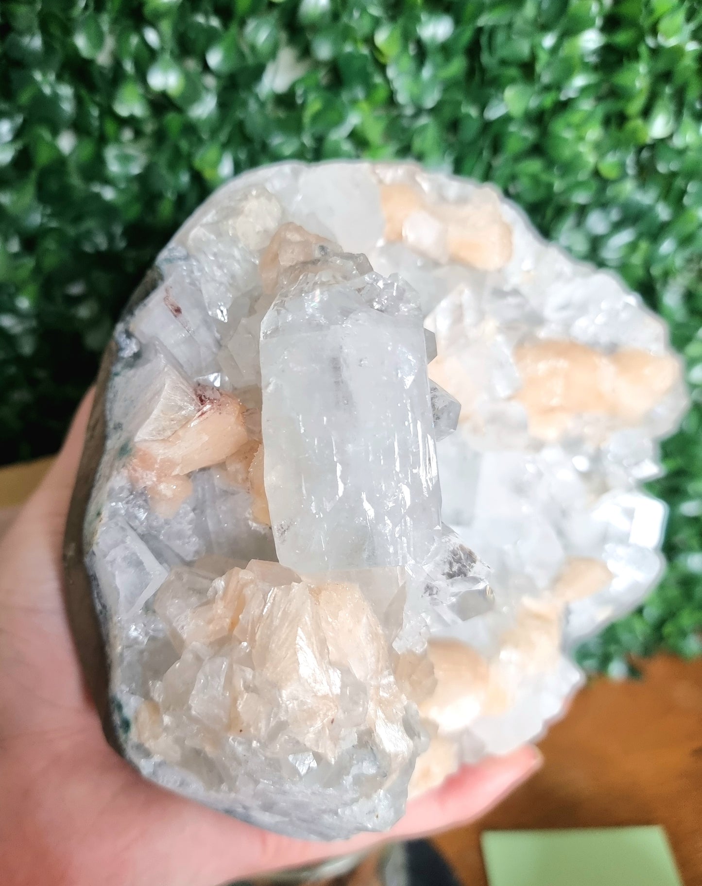 Cut Base Apopthyllite with Stilbite Cluster #2