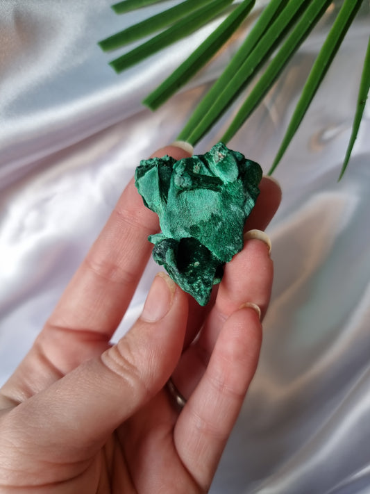 Velvet Malachite #5