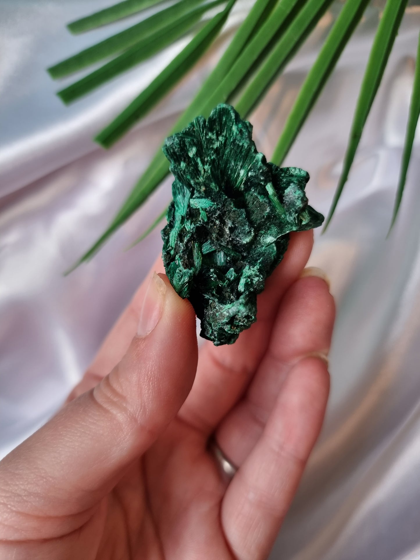 Velvet Malachite #6