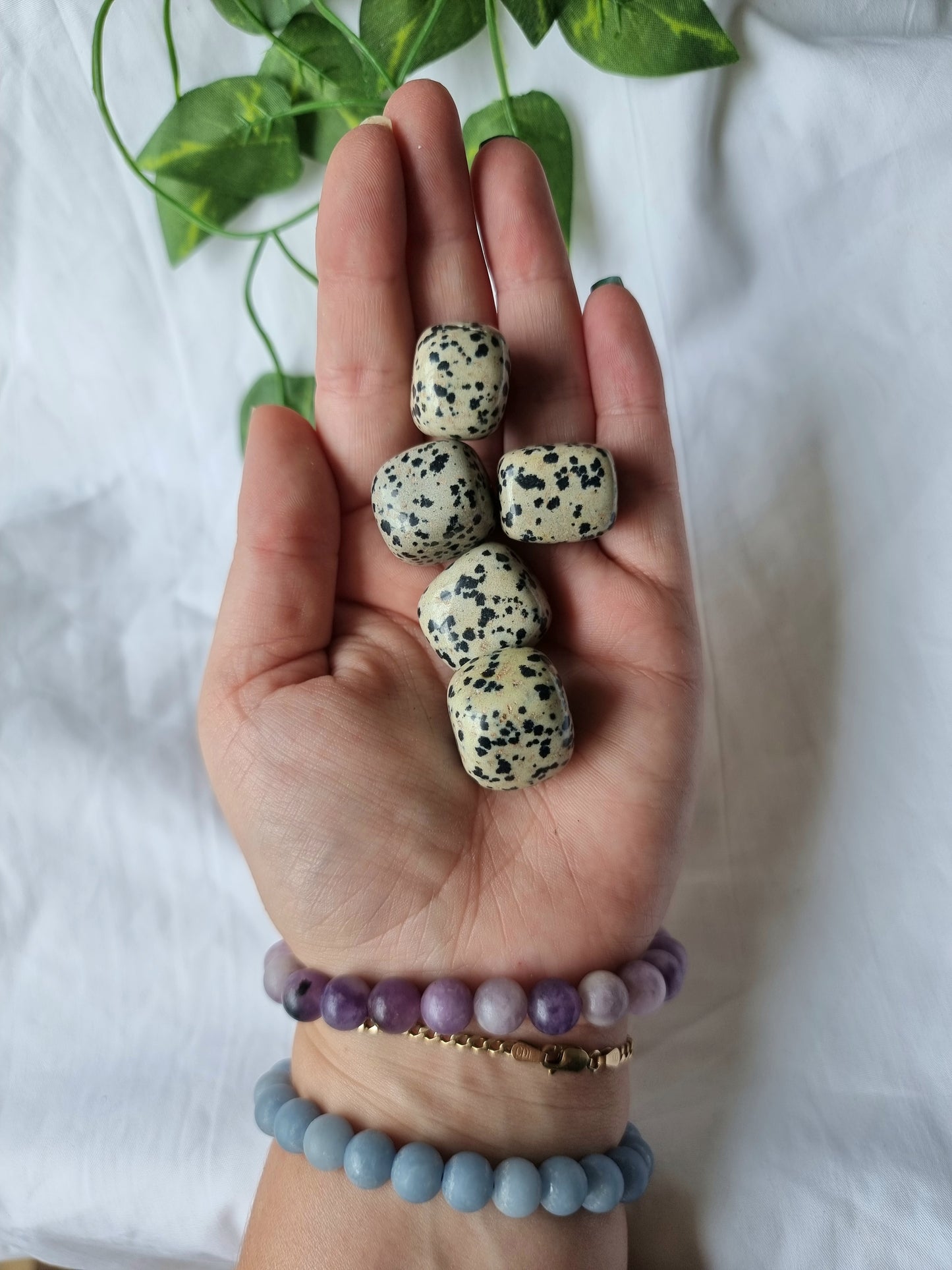 Dalmatian Jasper Tumbles