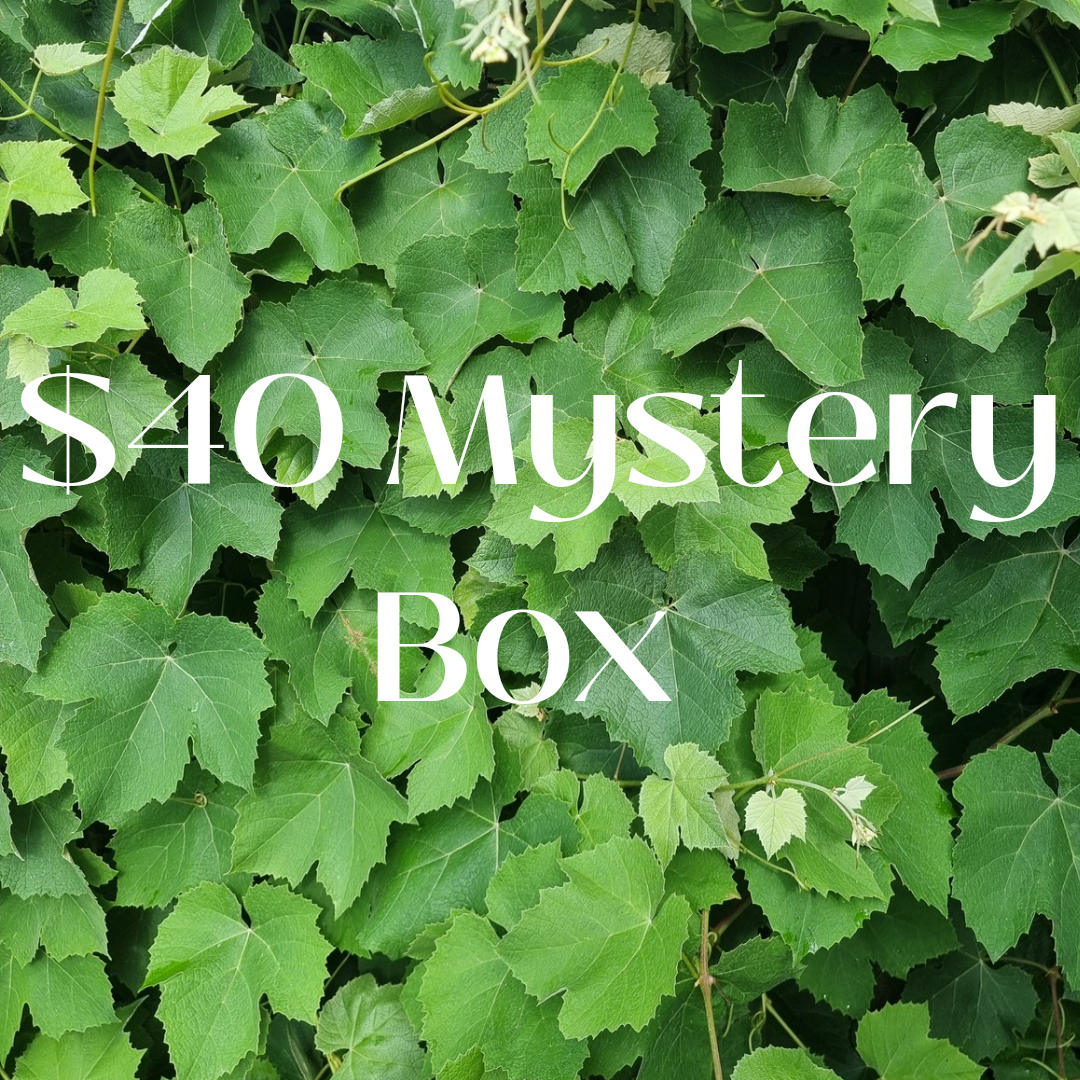 $40 Mystery Box