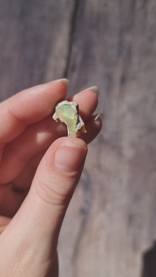 Ethiopian Opal #3