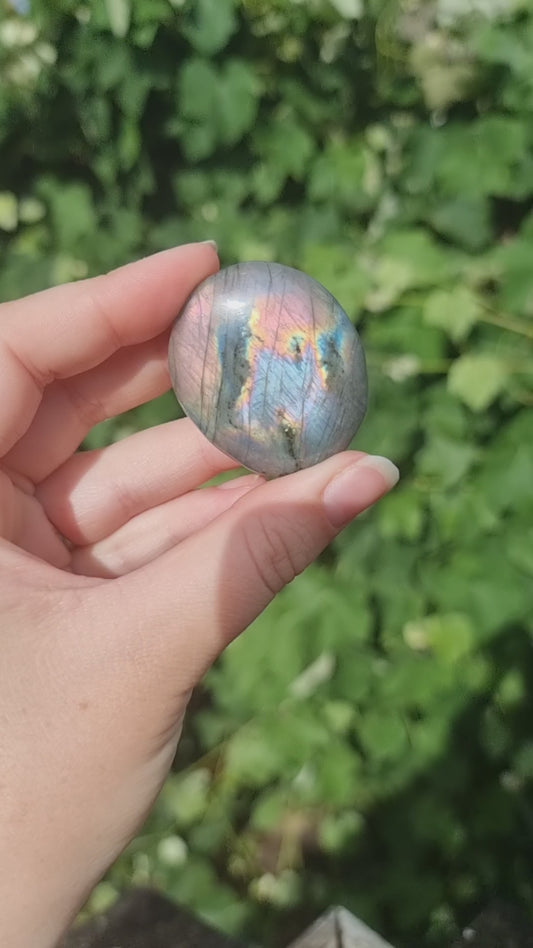 Labradorite Palmstone #6