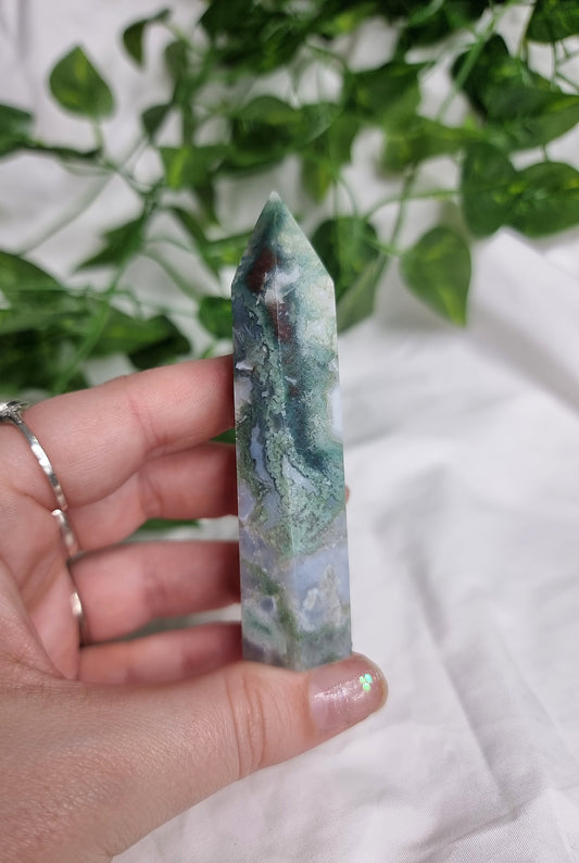 Moss Agate Point #1