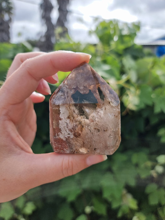 Garden Quartz/Lodolite Point #6