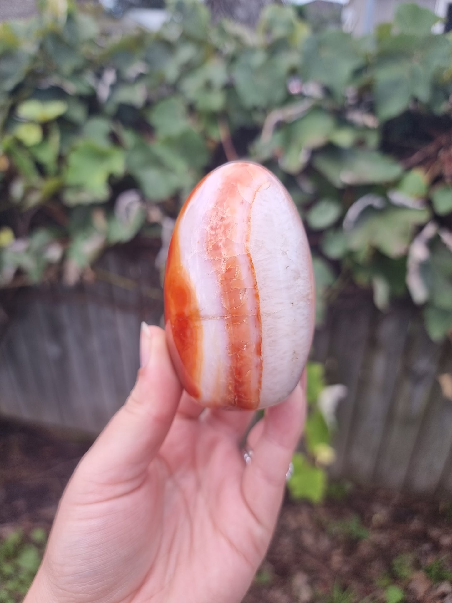 Carnelian Free Form #2