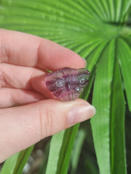 Rainbow Fluorite Butterfly Carving #1