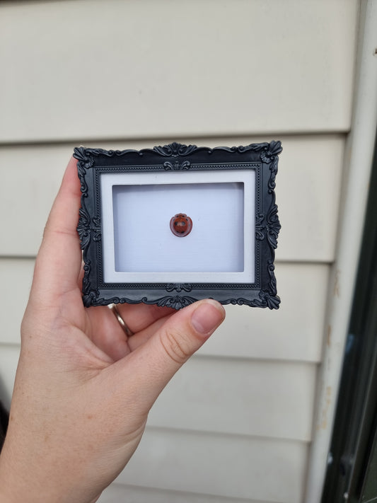 Mini Magnet Frame Ladybug #4