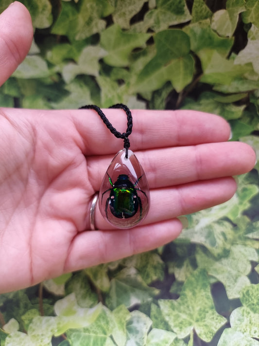 Green Chafer Beetle  Ajustable Resin Necklace