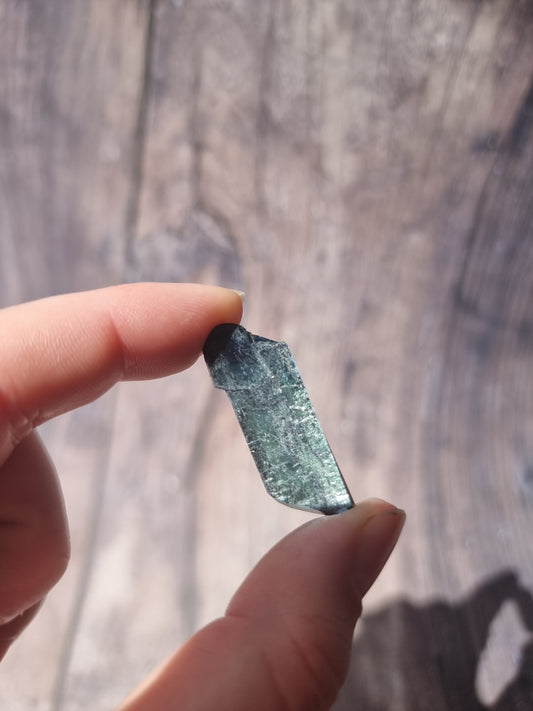 Corpse Crystal (Vivianite) #5