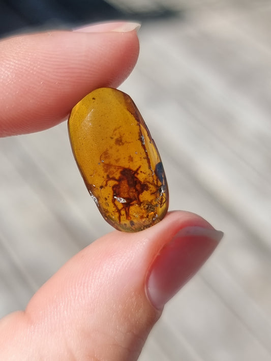 Bug in Amber #9