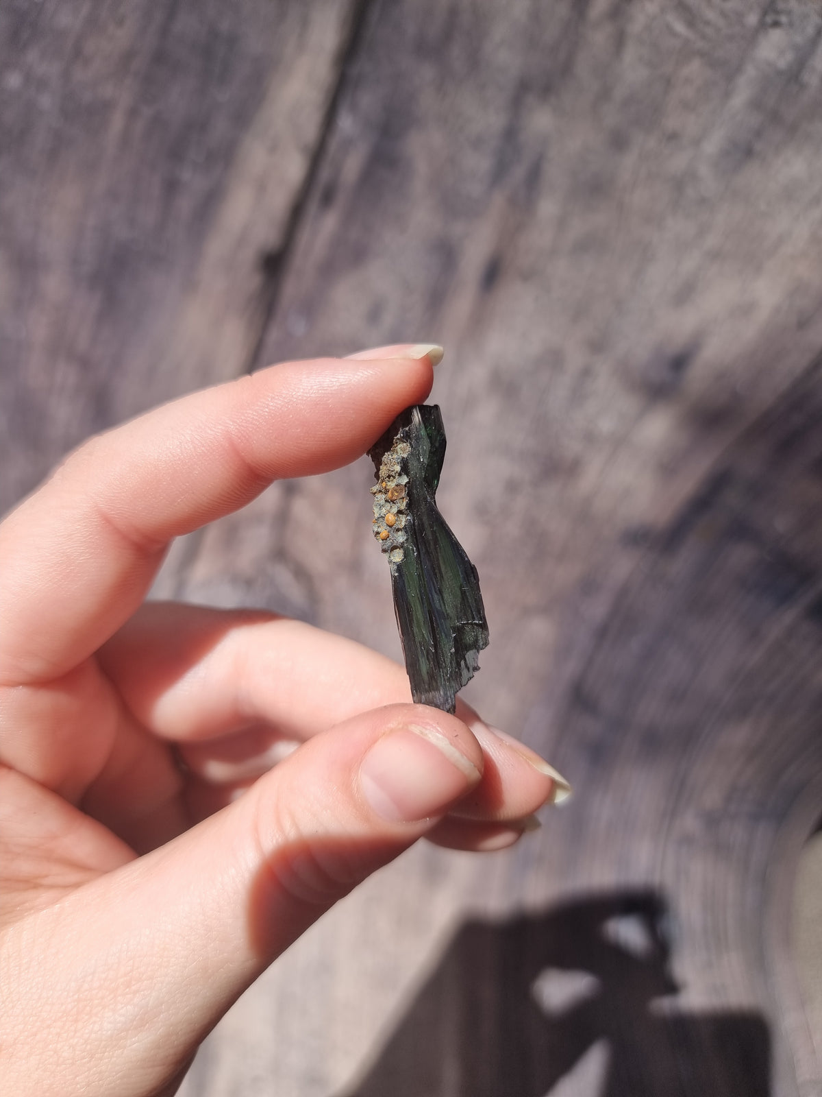 Corpse Crystal (Vivianite) #3