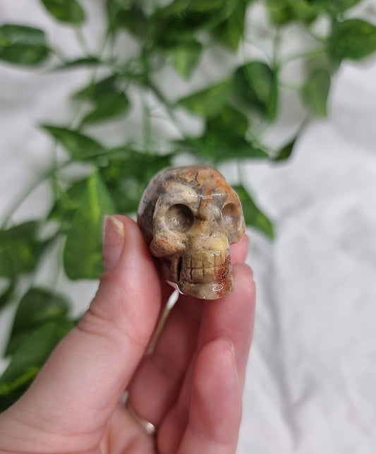 Crazy Lace Agate Small Skull #2