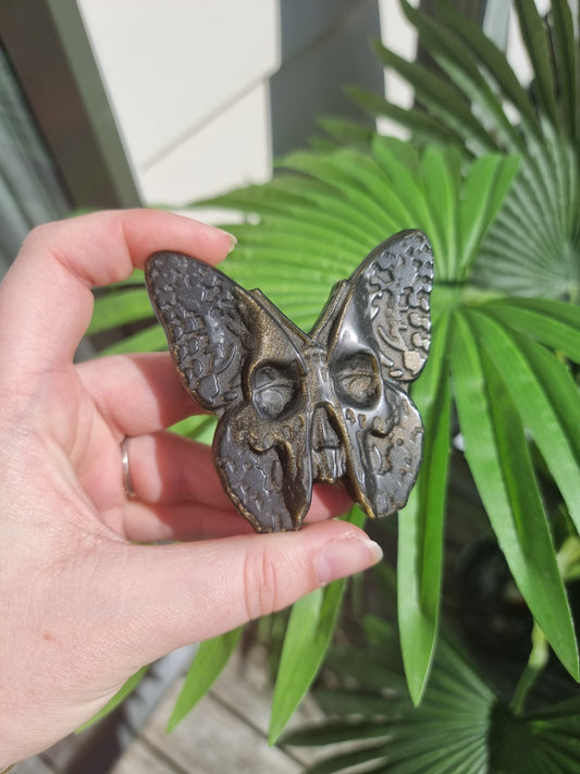 Golden Obsidian Skull Butterfly