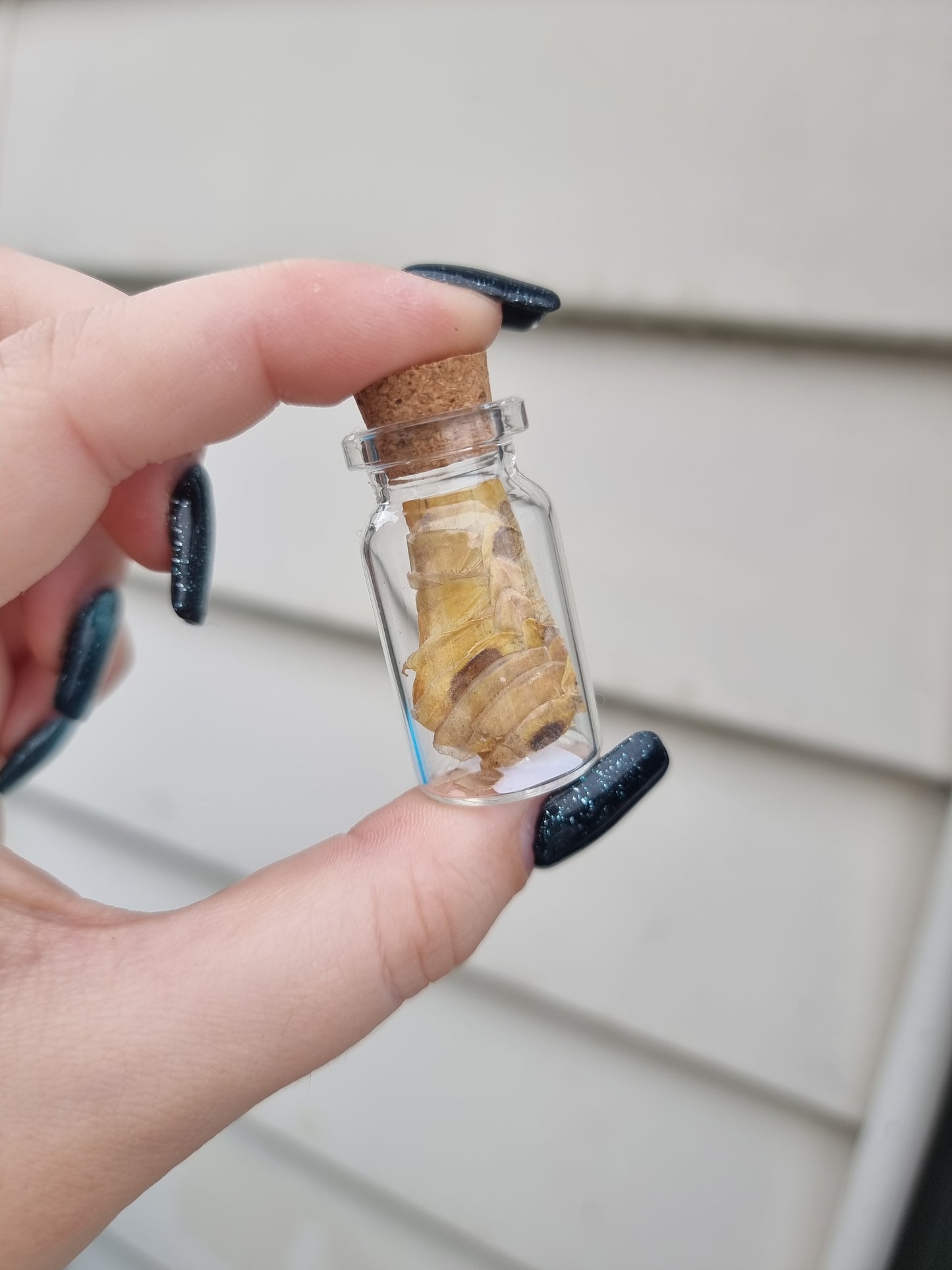 Small Snake Skin Jar #4