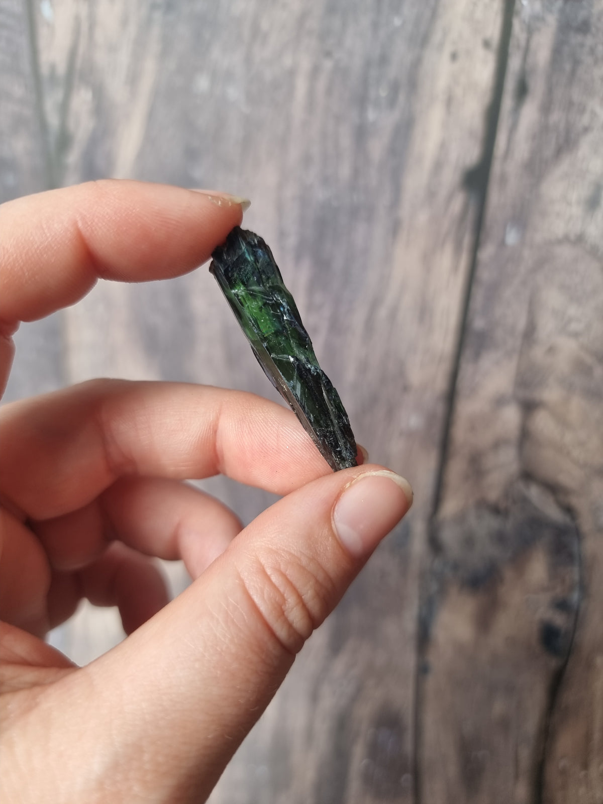 Corpse Crystal (Vivianite) #5.1