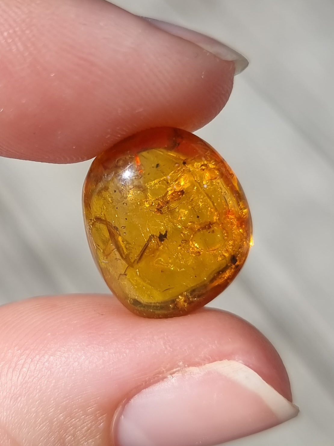 Bug in Amber #4