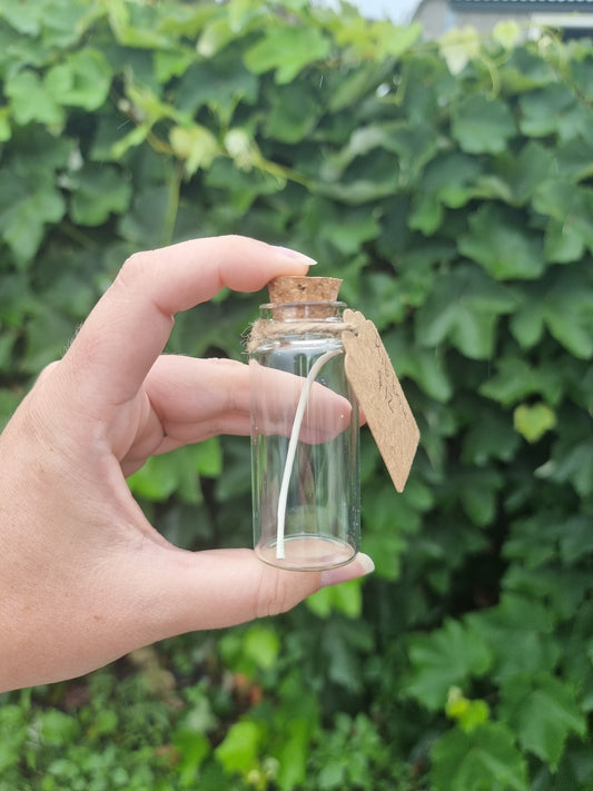 Large Oddity Rib Jar