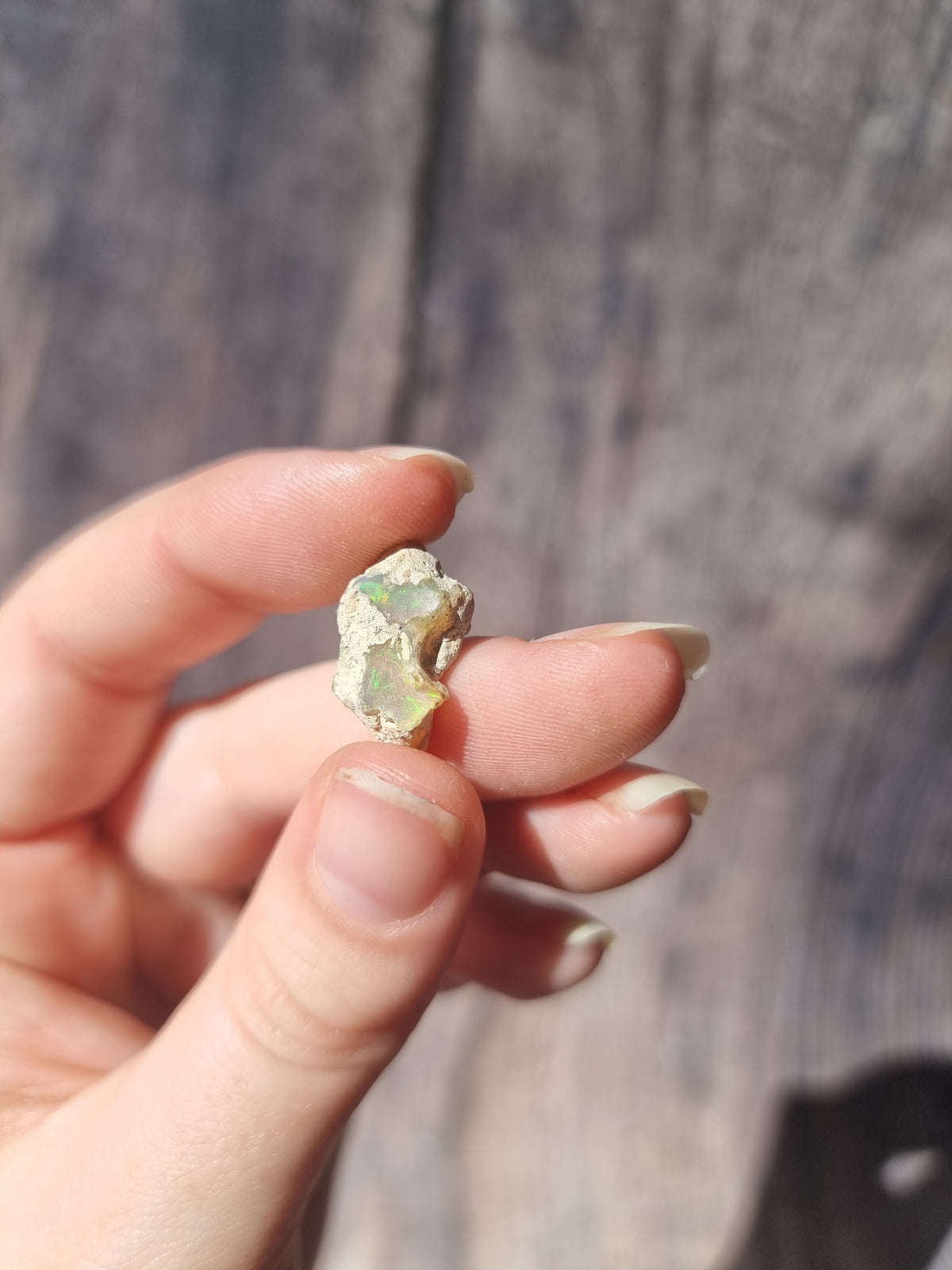 Ethiopian Opal #3