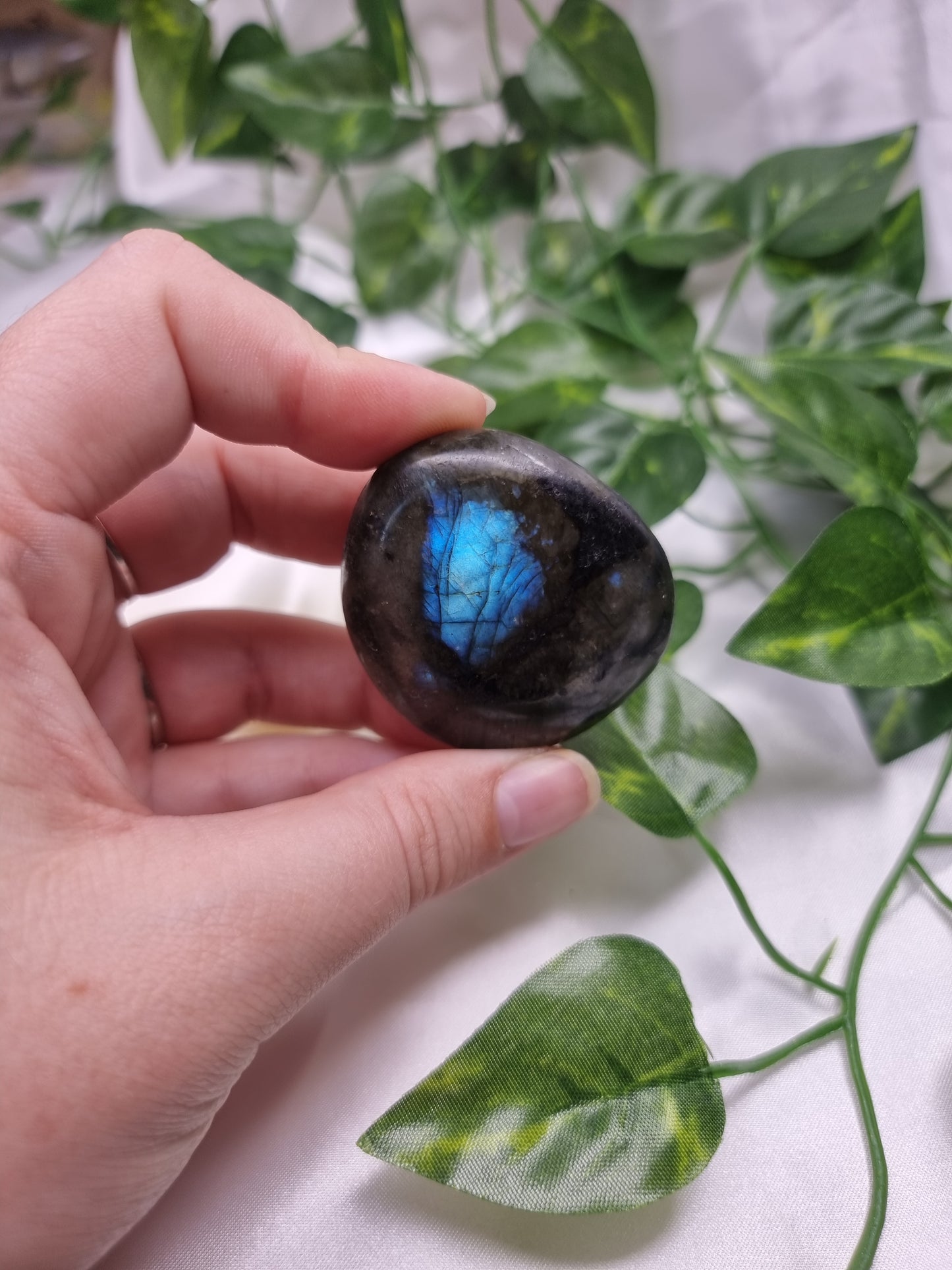 Labradorite Palm #2