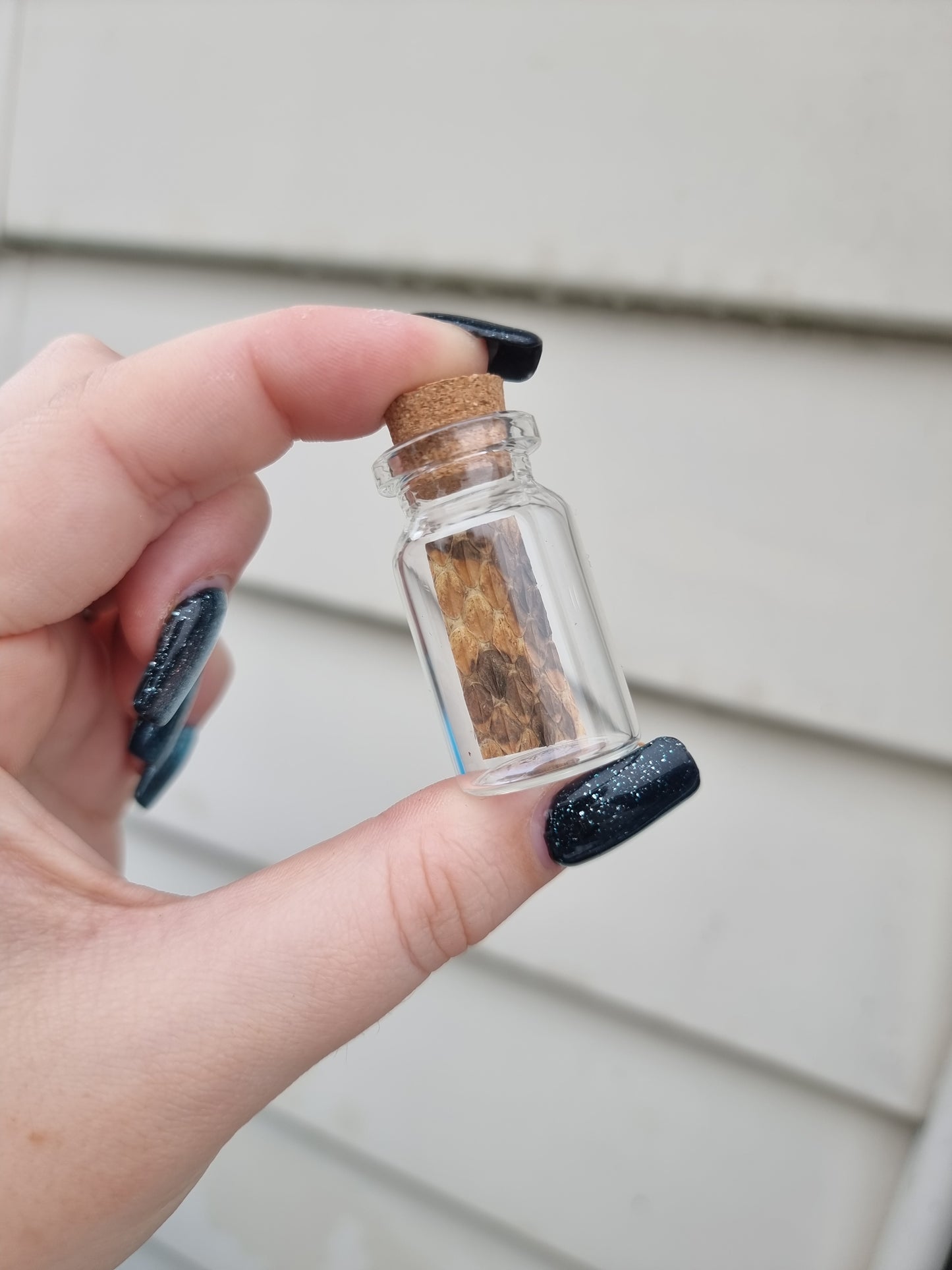 Small Snake Skin Jar #1