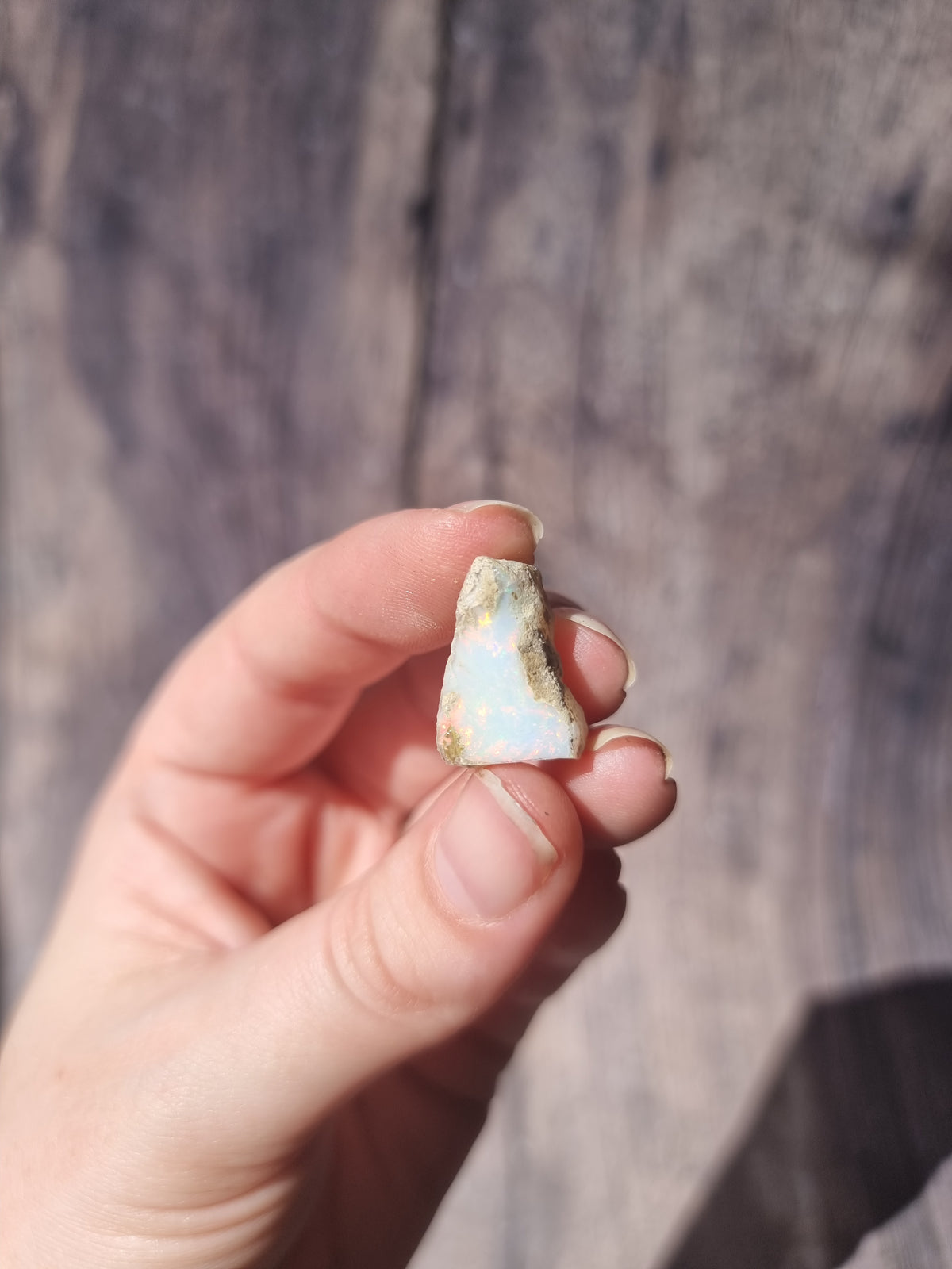 Ethiopian Opal #5