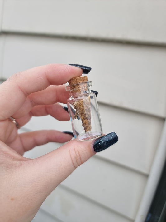 Small Snake Skin Jar #2