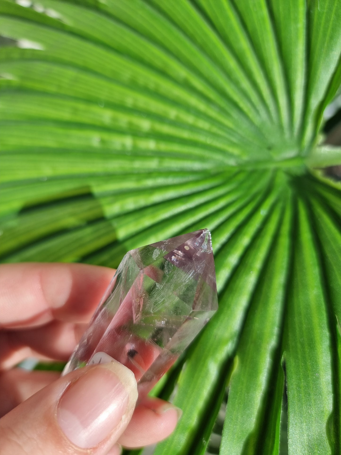 Imperfect Hollandite Angel Wing Amethyst Point