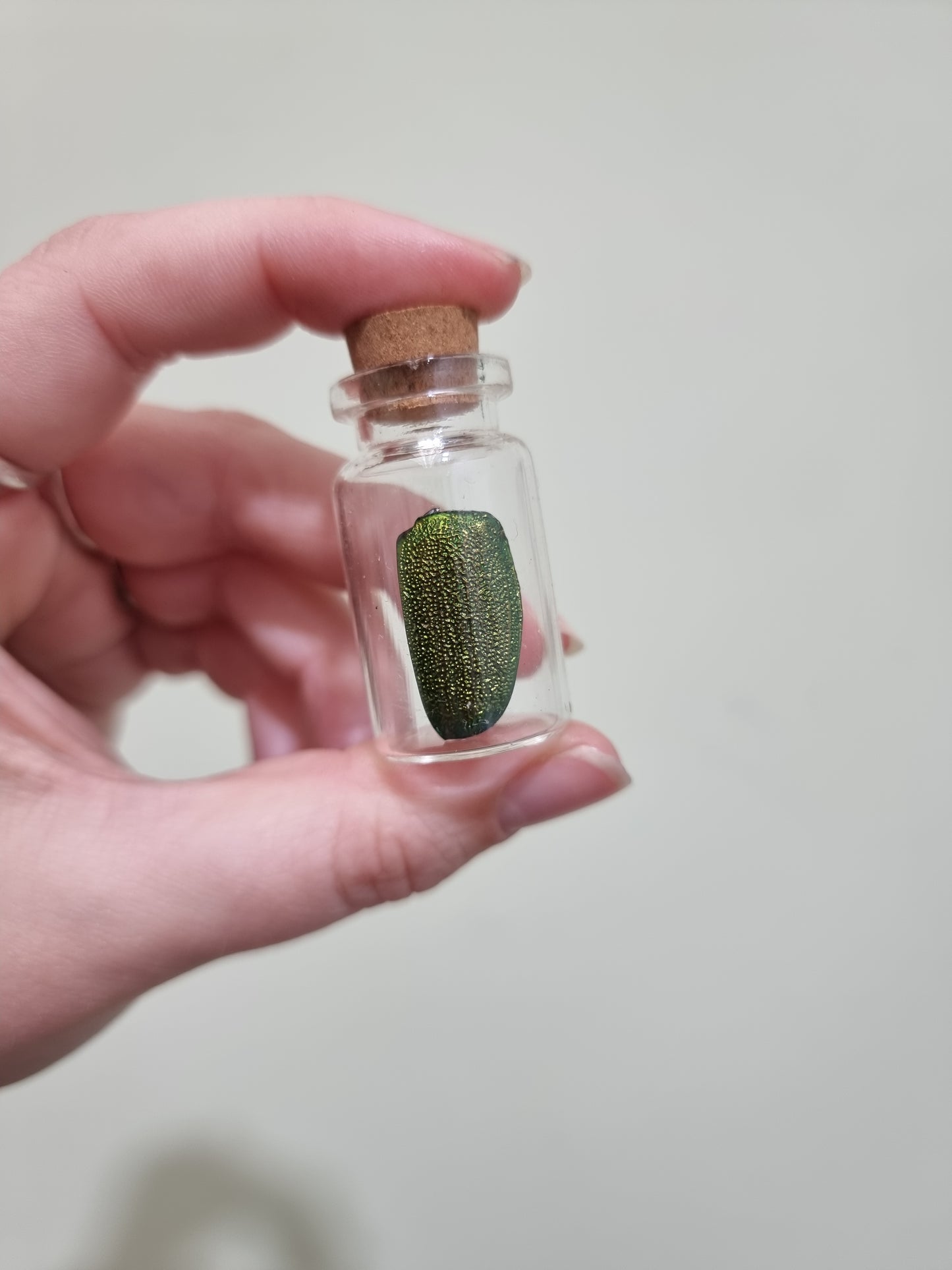 Matalic Jewel Scarab Beetle Wing Small Jar