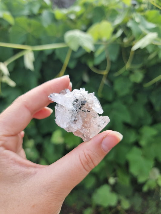 Sacred Rose Lithium Quartz #2