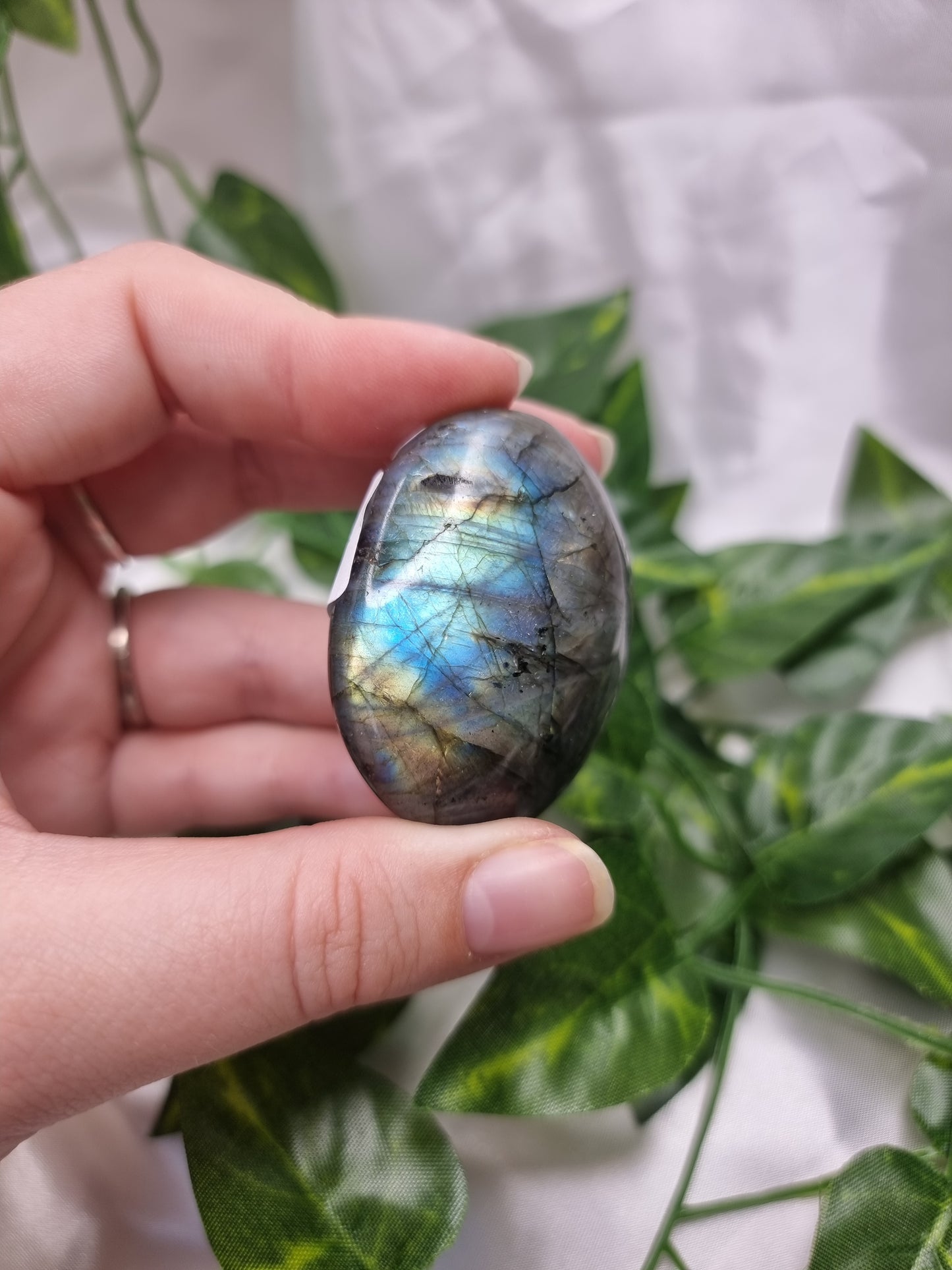 Labradorite palm #1