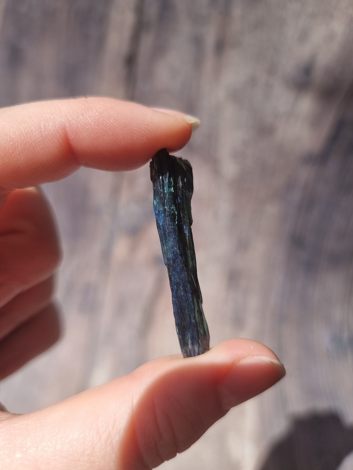 Corpse Crystal (Vivianite) #2