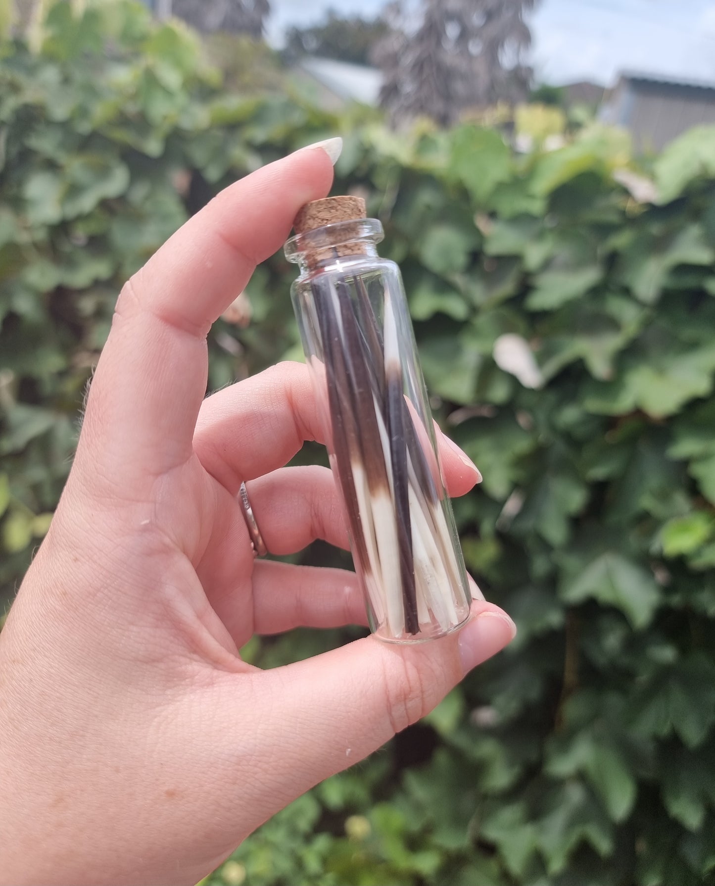 Procupine Quil Jar Large