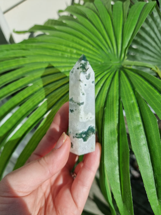 Imperfect Tree Agate Point