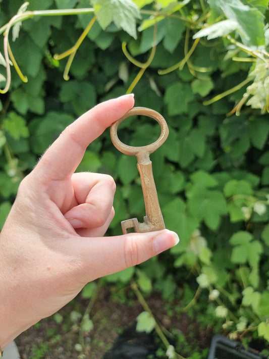Vintage Key #1