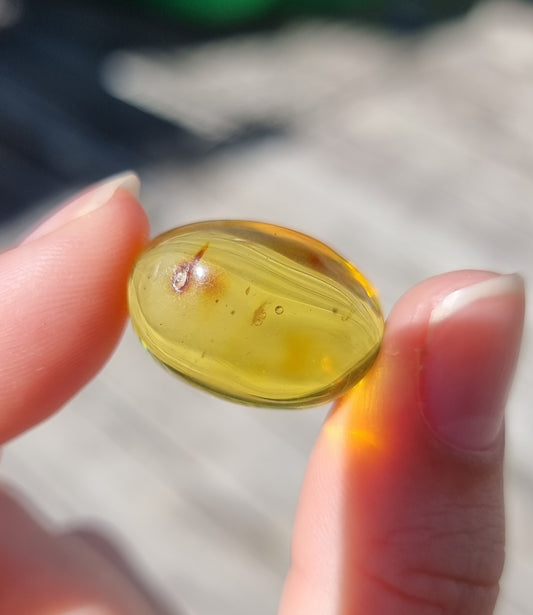 Amber Enhydro