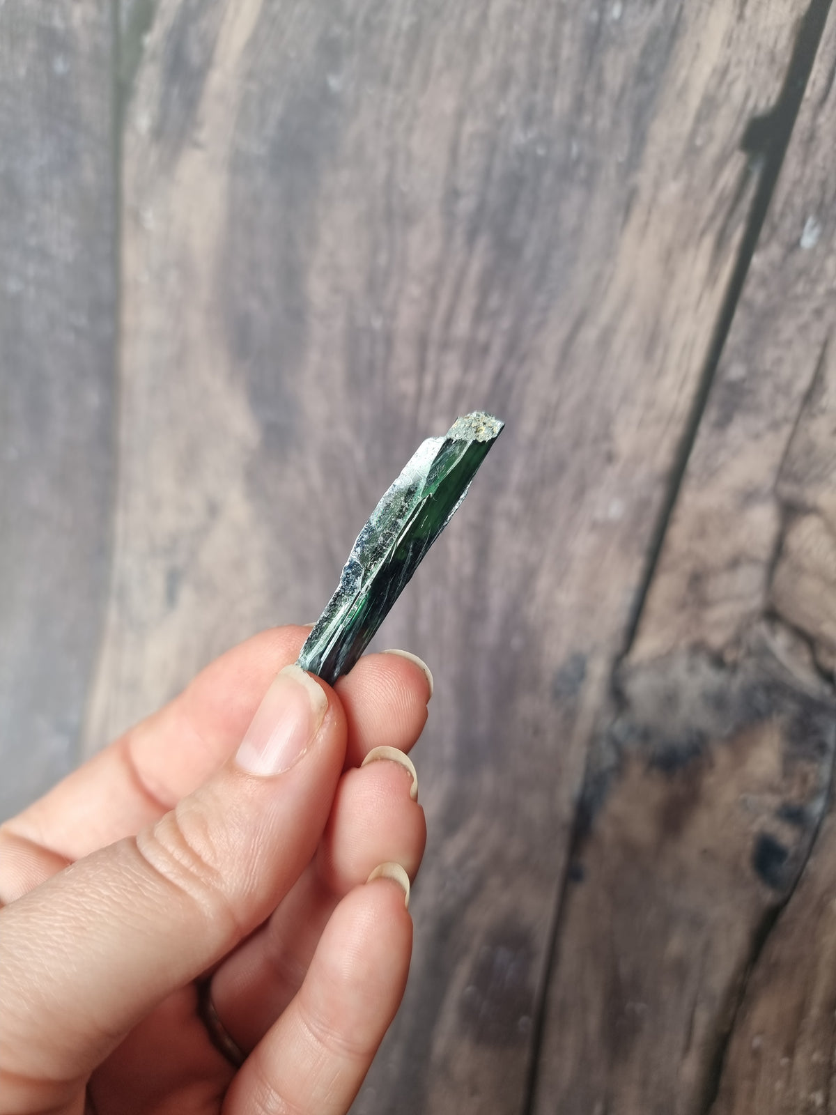 Corpse Crystal (Vivianite) #4