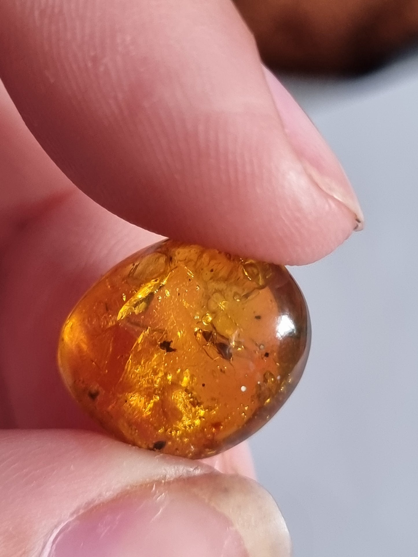 Bug in Amber #4