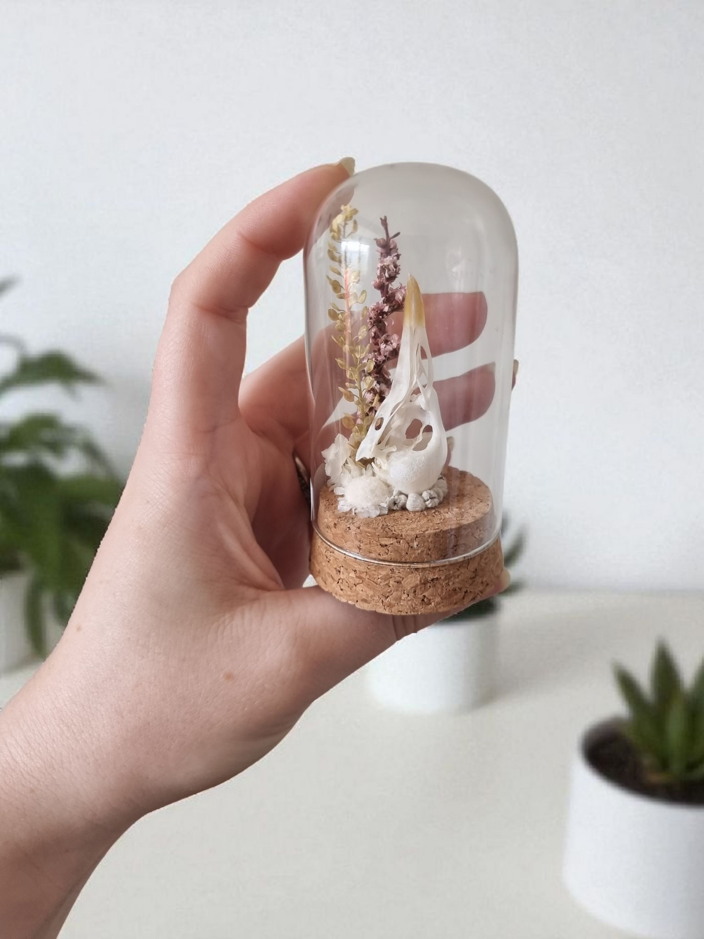 Bird Skull Dome #1