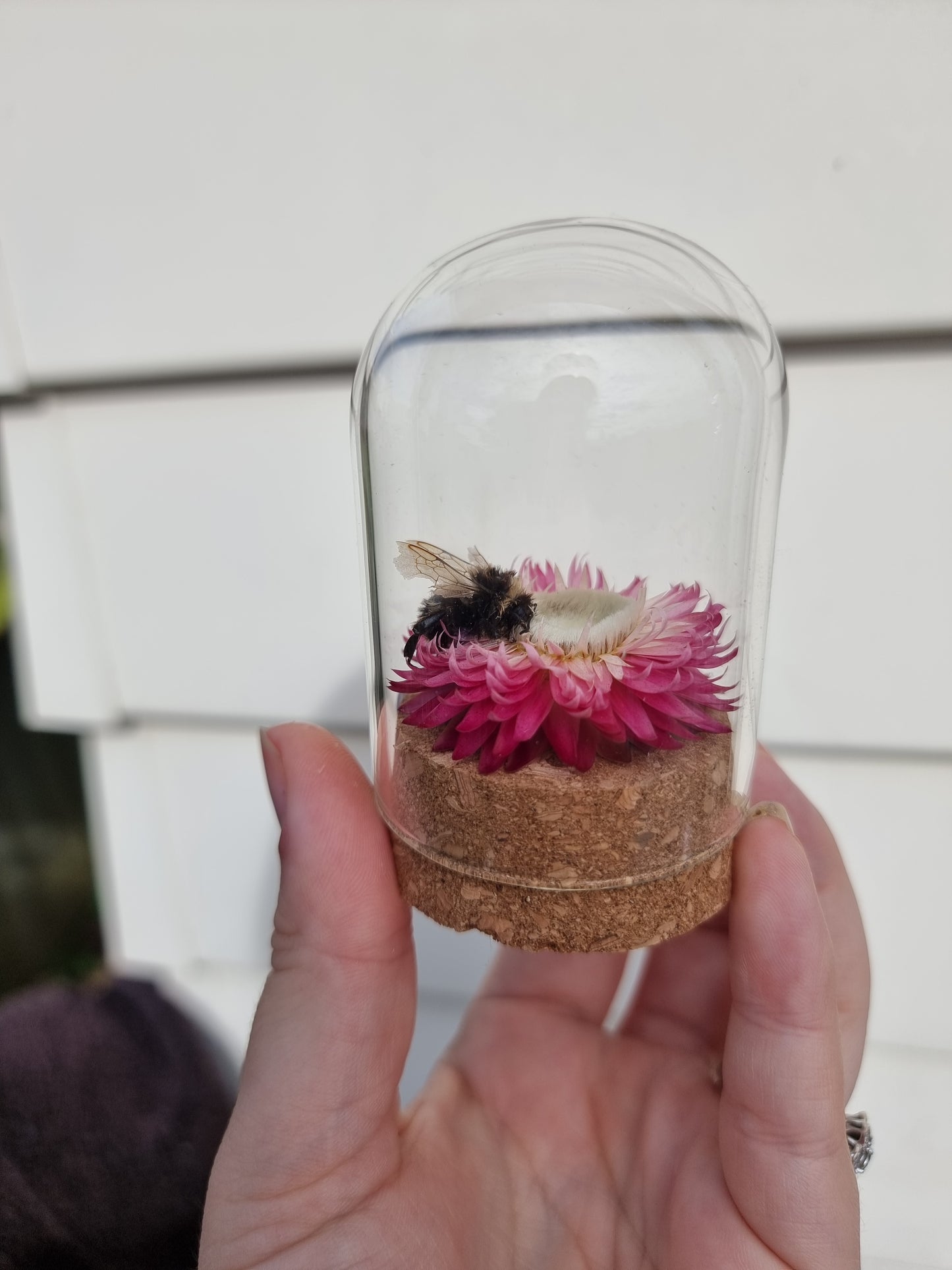 Small Bee Dome #2