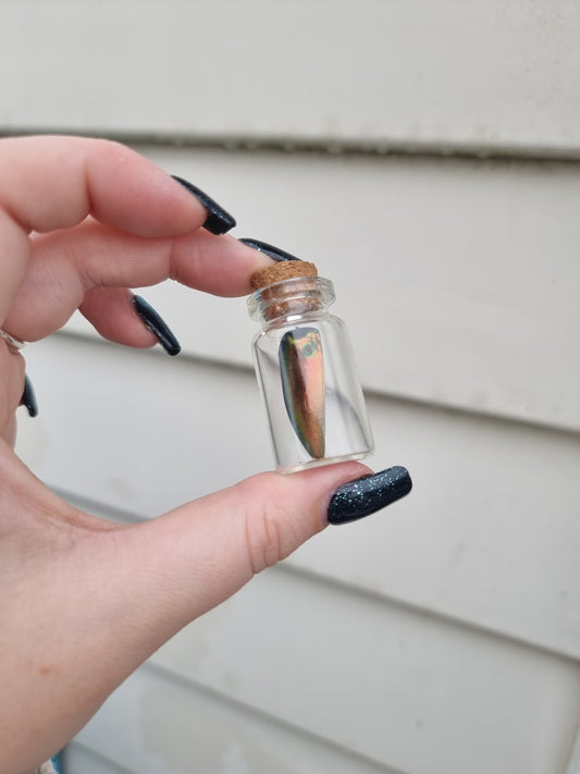 Small Beetle Wing Jar Copper