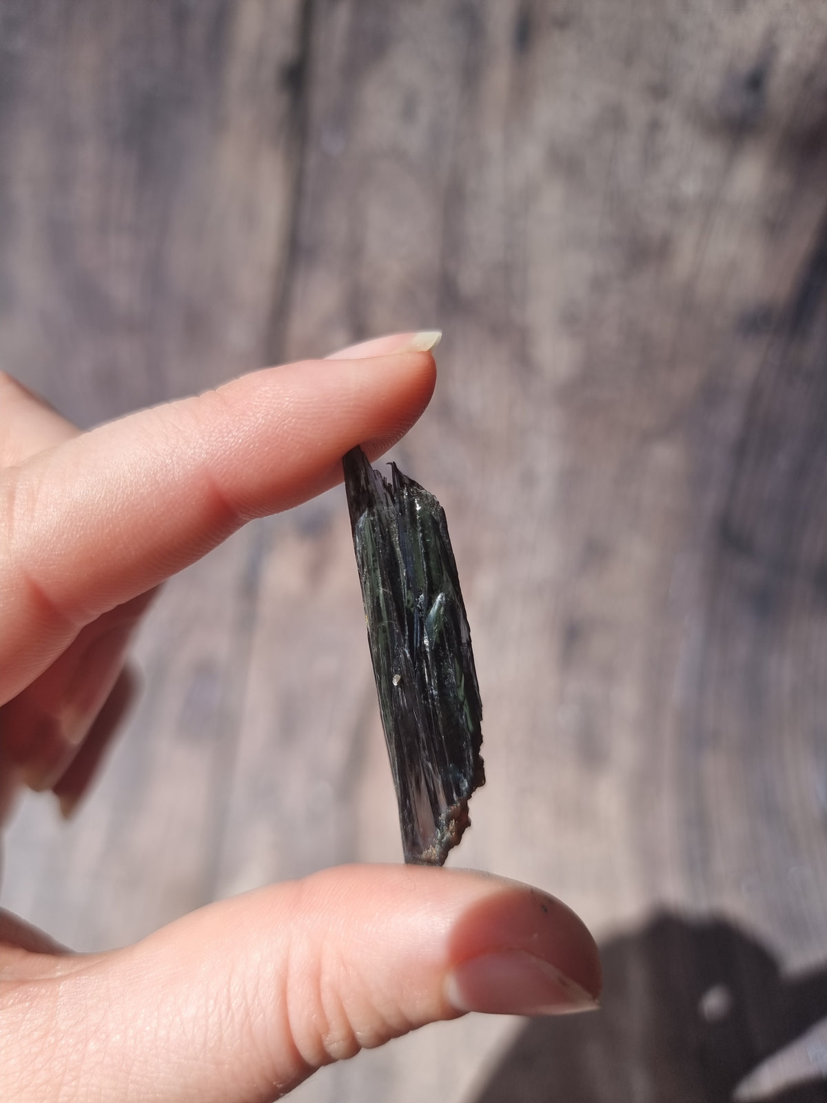 Corpse Crystal (Vivianite) #4