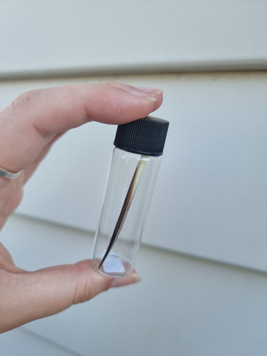 Quill in Jar