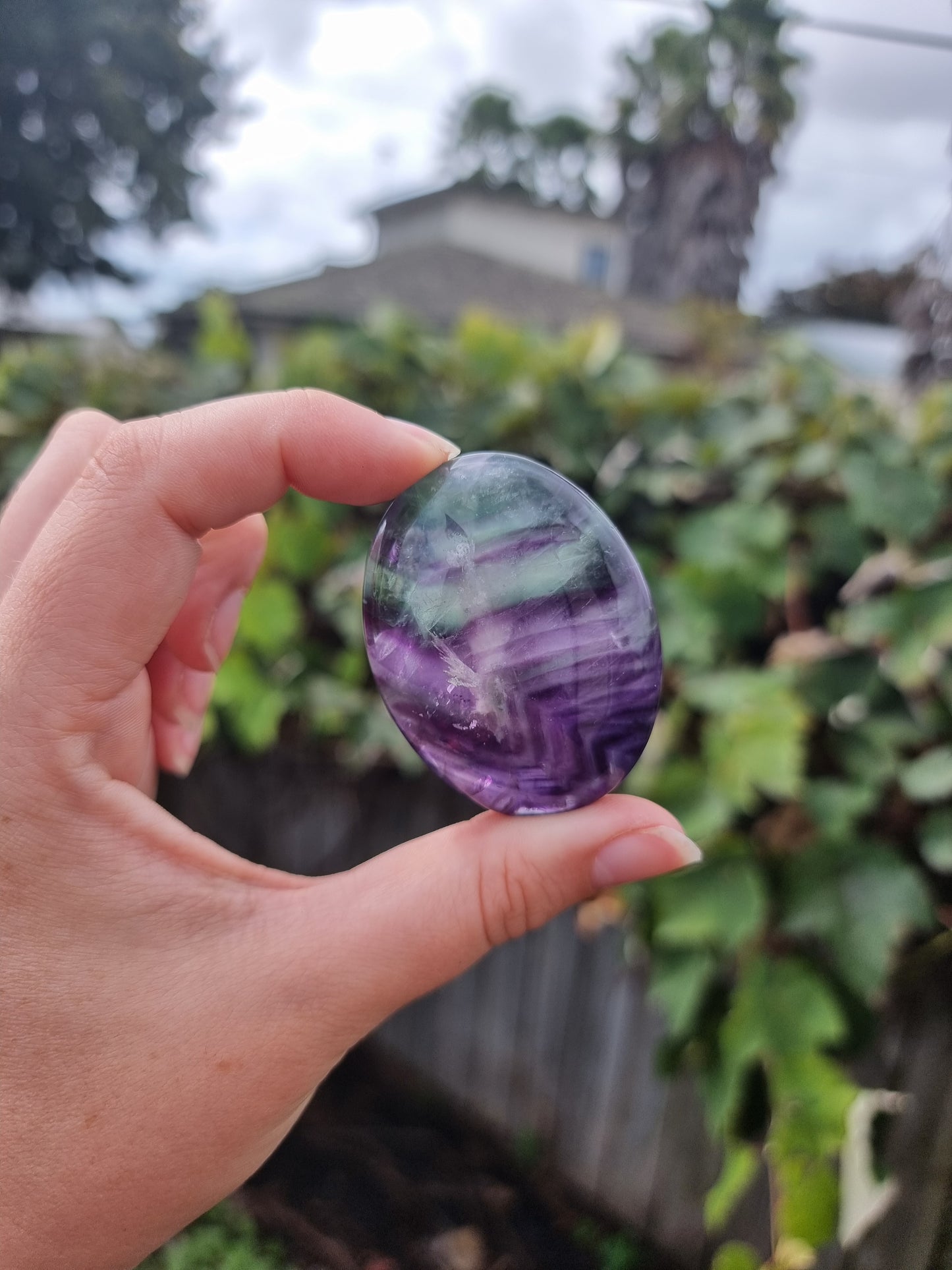 Fluorite Palmstone #1