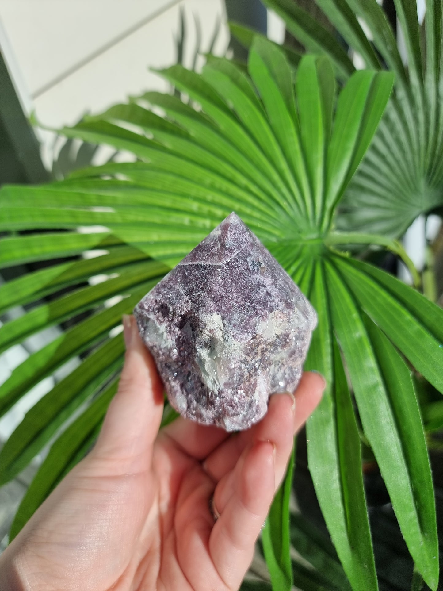 Lepidolite Half Polished Point